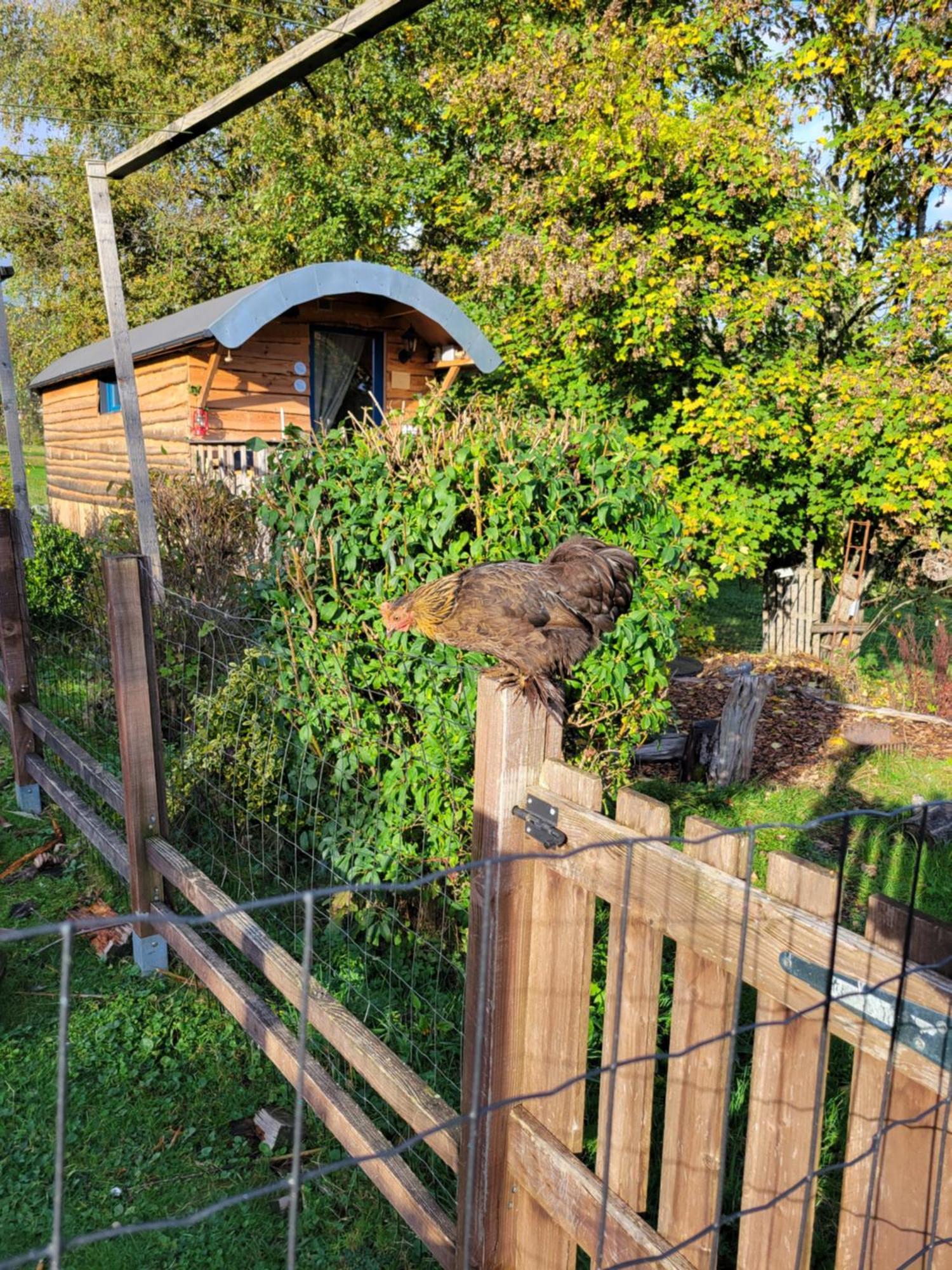 La Roulotte Tiny House Du Mond'Ideal Leval  Стая снимка